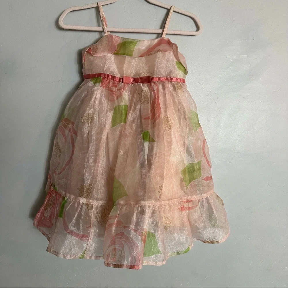 Baby GAP Pink Floral Chiffon Dress